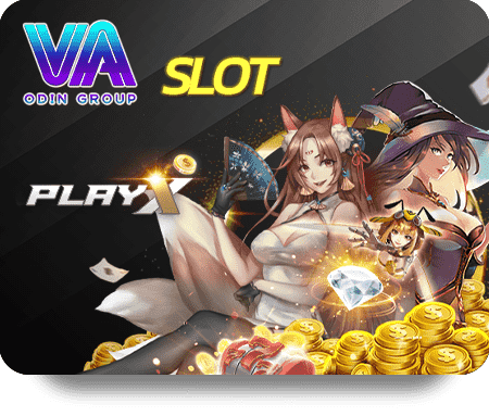 PlayX VA