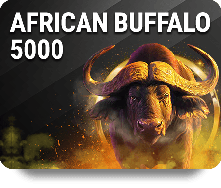 African Buffalo 5000