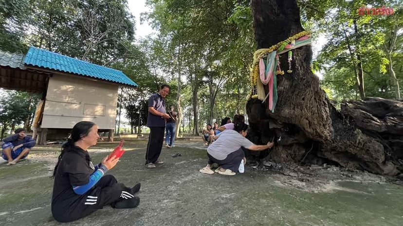 ชาวบ้าน แห่ถูเลข-เขย่าเซียมซี ต้นตะเคียนยักษ์ 100 ปี สมหวัง ได้เลขเด็ด เล็งเสี่ยงโชค