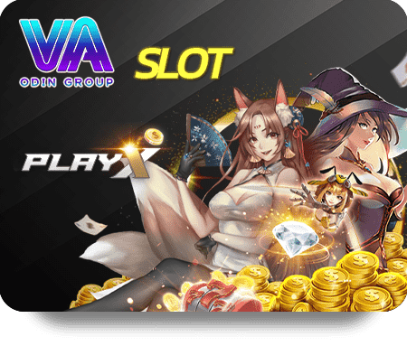 PlayX VA